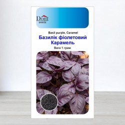 Насіння базиліка Карамель фіолетовий, 1г